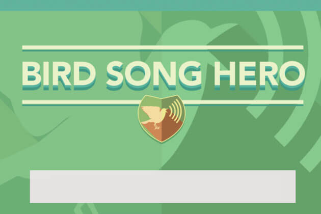 Bird song Hero